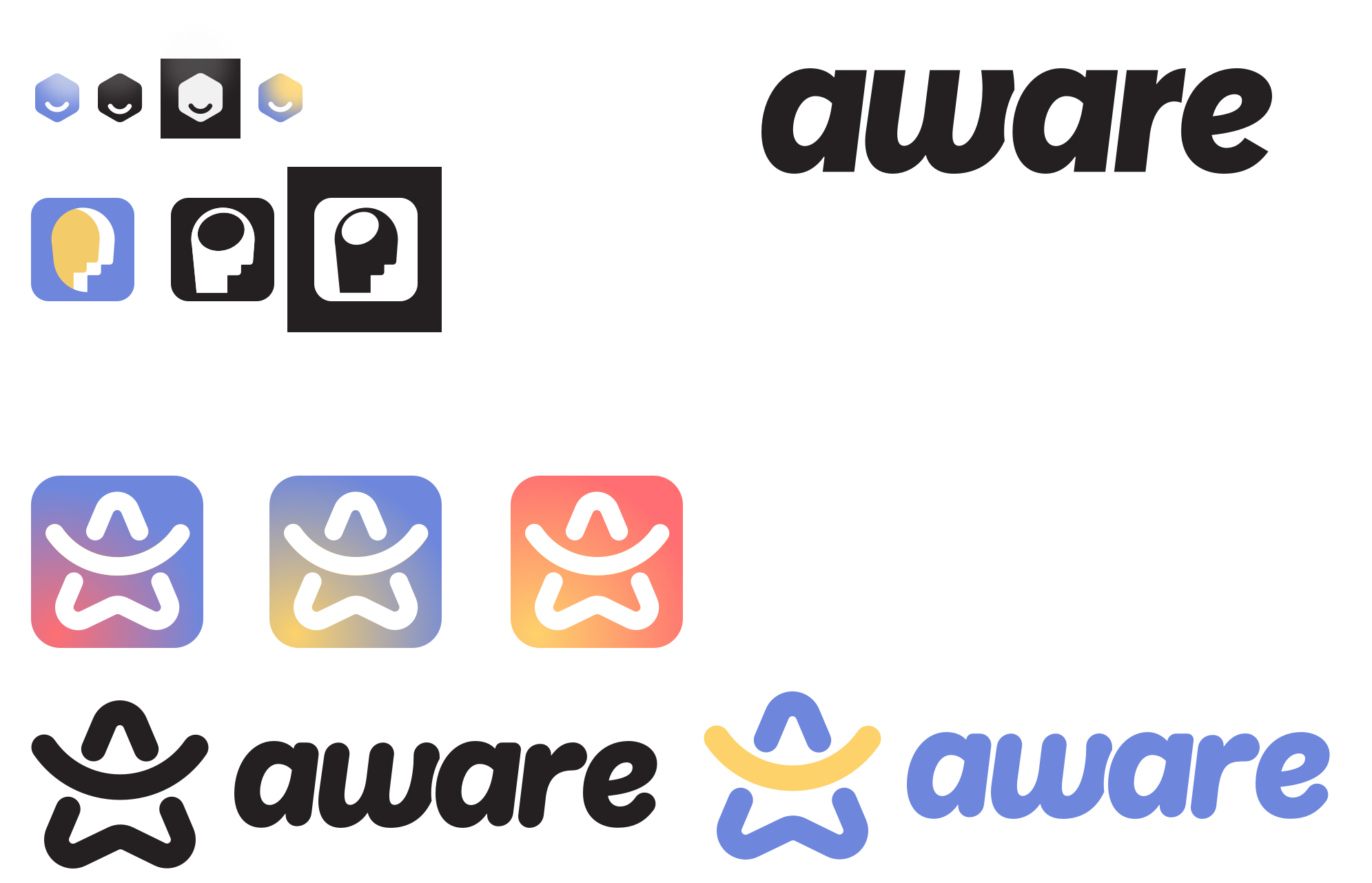 Logo exploration variations